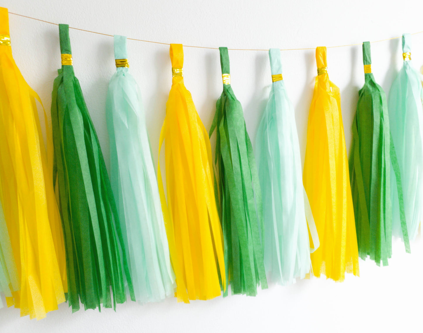paper tassel garland, foil tassel garland, party tassel decorations, DIY tassel garland, birthday party tassels, wedding tassel decor, baby shower tassels, gender reveal tassel garland, anniversary party decorations, festive tassel banner, hanging party tassels, premium tassel garland, colorful tassel decorations, indoor party decor, outdoor party garland, gold tassel garland, elegant party decorations, tassel banner for events, high-quality party tassels, Brisbane party decorations, Gold Coast party suppli