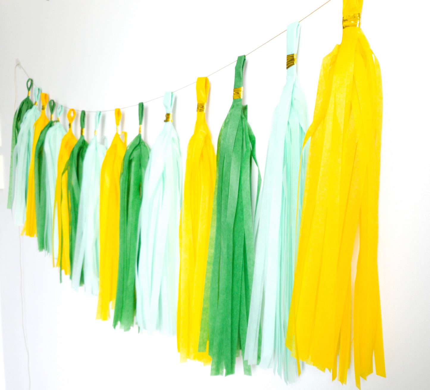 paper tassel garland, foil tassel garland, party tassel decorations, DIY tassel garland, birthday party tassels, wedding tassel decor, baby shower tassels, gender reveal tassel garland, anniversary party decorations, festive tassel banner, hanging party tassels, premium tassel garland, colorful tassel decorations, indoor party decor, outdoor party garland, gold tassel garland, elegant party decorations, tassel banner for events, high-quality party tassels, Brisbane party decorations, Gold Coast party suppli