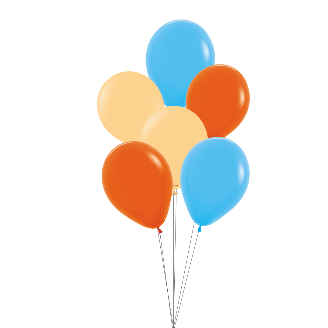 Bluey Party Supplies Bundle – Banner, Balloons, Cake Decorating Kit & Décor Set
