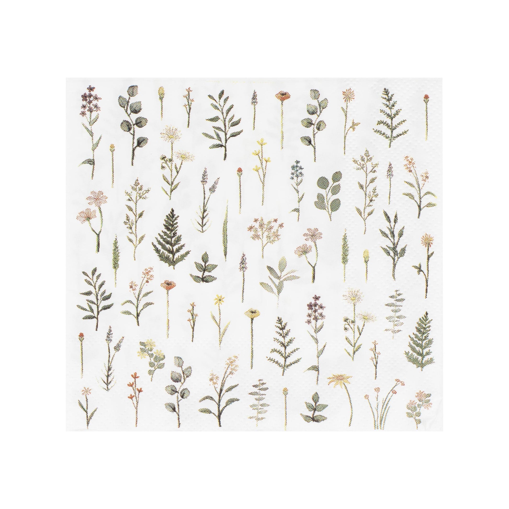 floral cocktail napkins, afternoon tea napkins, paper napkins, botanical napkins, cocktail party napkins, floral party napkins, napkins for tea parties, birthday party napkins, hen party napkins, paper napkins for celebrations, elegant napkins, delicate paper napkins, napkins with floral design, decorative napkins for events, eco-friendly napkins, 16 pack cocktail napkins, 12.5cm napkins, cocktail napkins for parties, stylish paper napkins, botanical party napkins, tea party accessories.

