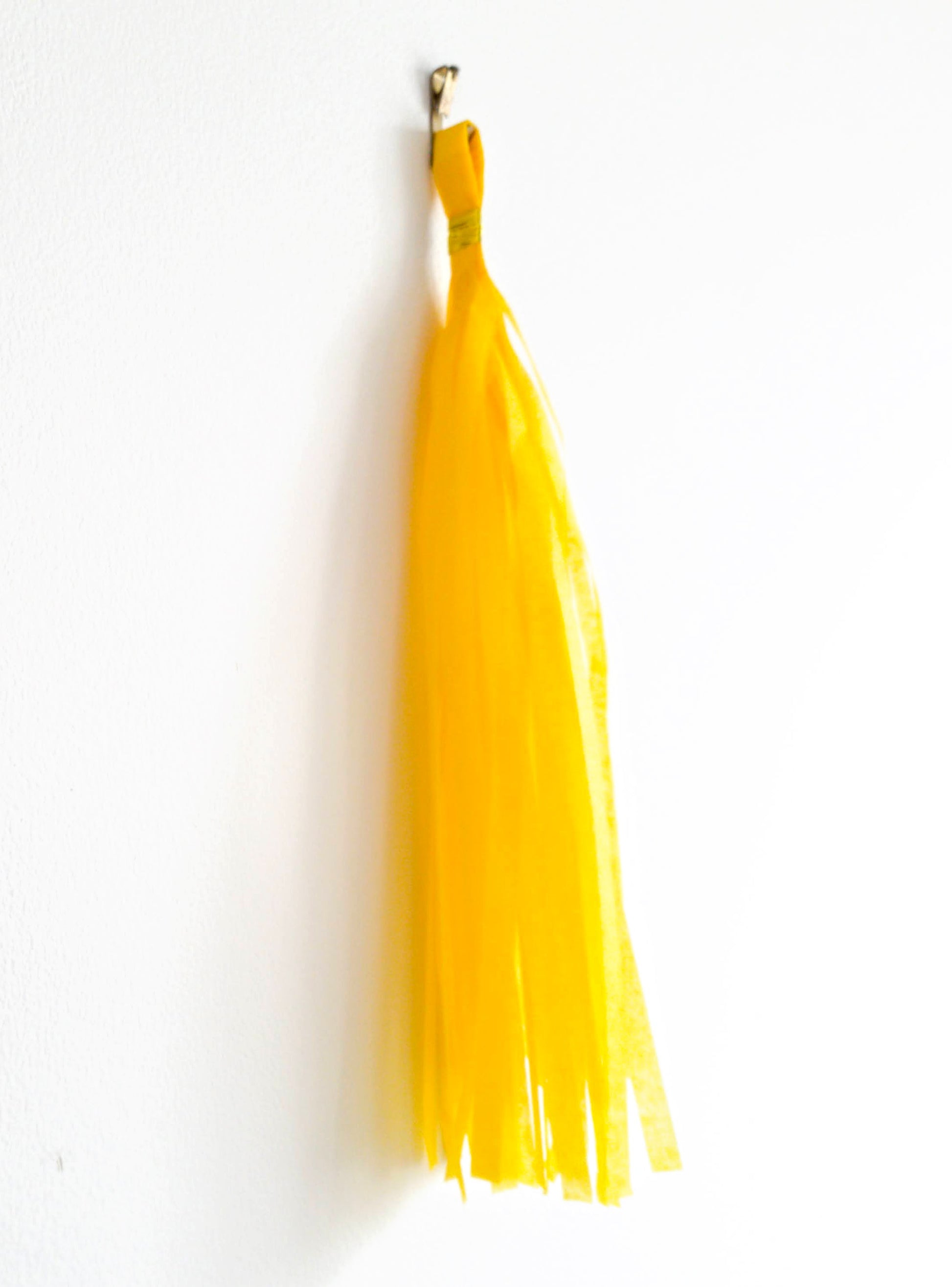 paper tassel garland, foil tassel garland, party tassel decorations, DIY tassel garland, birthday party tassels, wedding tassel decor, baby shower tassels, gender reveal tassel garland, anniversary party decorations, festive tassel banner, hanging party tassels, premium tassel garland, colorful tassel decorations, indoor party decor, outdoor party garland, gold tassel garland, elegant party decorations, tassel banner for events, high-quality party tassels, Brisbane party decorations, Gold Coast party suppli
