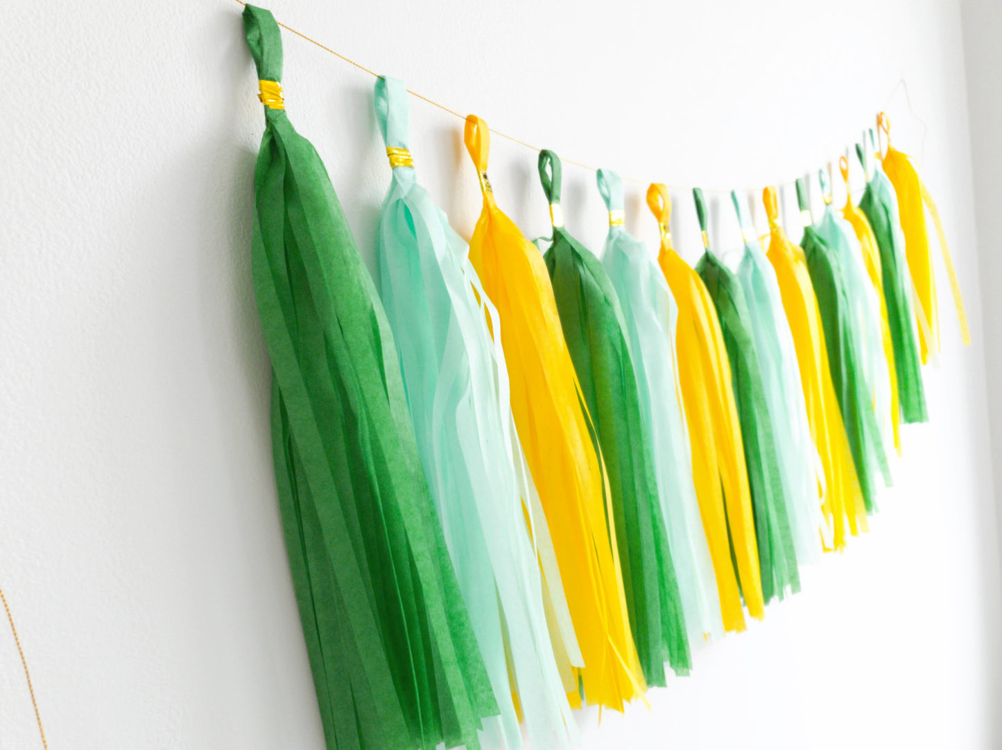 paper tassel garland, foil tassel garland, party tassel decorations, DIY tassel garland, birthday party tassels, wedding tassel decor, baby shower tassels, gender reveal tassel garland, anniversary party decorations, festive tassel banner, hanging party tassels, premium tassel garland, colorful tassel decorations, indoor party decor, outdoor party garland, gold tassel garland, elegant party decorations, tassel banner for events, high-quality party tassels, Brisbane party decorations, Gold Coast party suppli